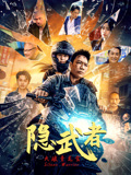 隐武者：大破青龙会海报